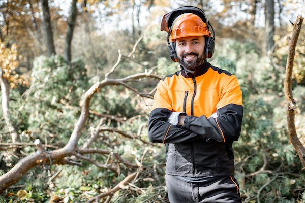 Tree Lopper Robina – Arborist Gold Coast